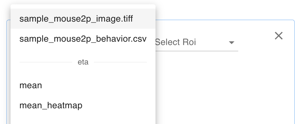 Select Item