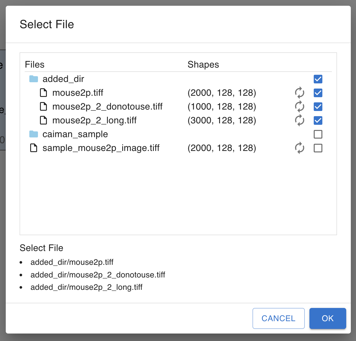 Put folder to input dir
